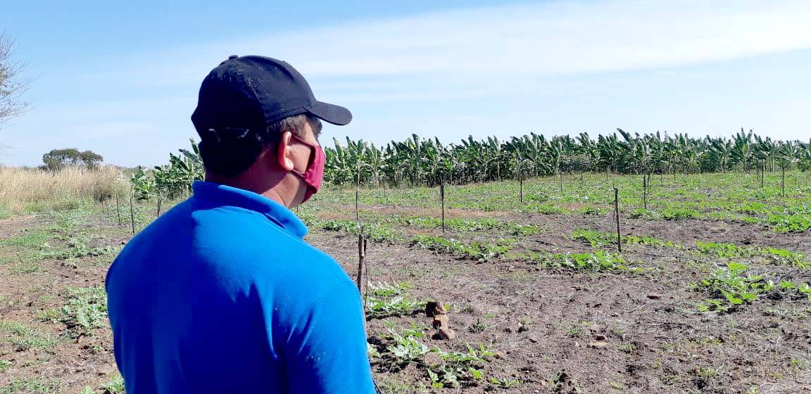 Produtor rural denuncia esquema no Programa de Aquisição de Alimentos em Campo Maior